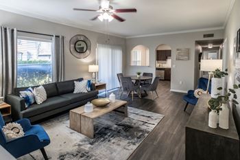 Decorated living room with natural light